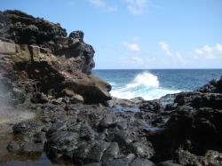 Near Nakalele Blowhole.