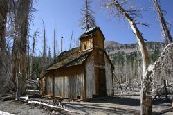This building reminded me of an old decrepit church. (It was probably an emergency snow cabin or something.) Natural CO2 outgassing from a magma body beneath Mammoth Mountain asphyxiated more than 100 acres of trees near Horseshoe Lake in the early 1990s. The gasses become concentrated to deadly levels in enclosed structures such as cabins. 
