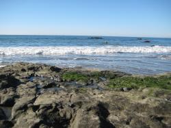 Rocky beach in Morro Bay. 