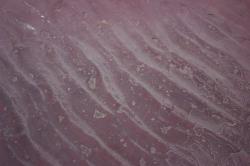 Grand Canyon Supergroup - Hakatai Sandstone - 1,180 million year old rock. 