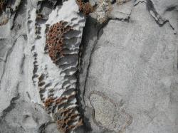 Strange lava formations near Dragon's Teeth, Kapalua, Maui. 