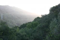 The setting sun casts slanting rays on green hills.