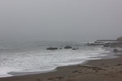 A foggy day on the rocky coast. 