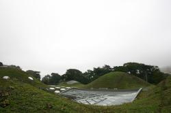 California Academy of Sciences "living roof," rolling hills with round skylights.