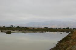 Still marsh water reflects faded hills within a curved shoreline.