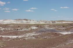 Petrified wood in this desolate landscape has been fossilized and turned to stone. 