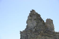 Birds perch atop a tufa tower at Mono Lake. 