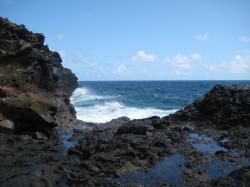 Near Nakalele Blowhole.
