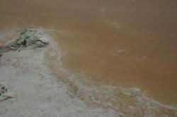 Macro of a natural pink salt marsh. 