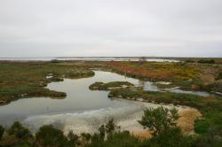 Marsh water curves through a colorful landscape. 