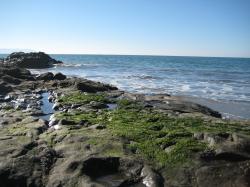 Rocky beach in Morro Bay. 