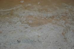 Macro of a natural salt marsh. 