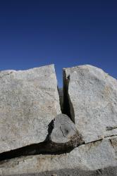 A log in the middle of a cracked boulder. 
