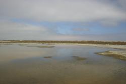 The still water of a salt marsh reflects sky and clouds.