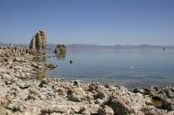 Tufa along the shore at Mono Lake. 