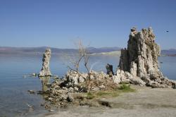 Tufa towers at Mono Lake. 
