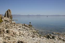 Tufa along the shore at Mono Lake. 