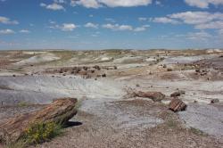 Petrified wood in this desolate landscape has been fossilized and turned to stone. 