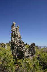 Tufa towers at Mono Lake. 