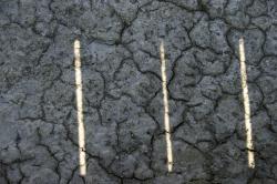 Three slivers of light peek through the boardwalk onto the crusted and cracked salt mud.