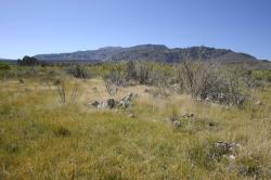 Tufa and scrub at Mono Lake. 