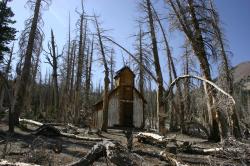 This building reminded me of an old decrepit church. (It was probably an emergency snow cabin or something.) Natural CO2 outgassing from a magma body beneath Mammoth Mountain asphyxiated more than 100 acres of trees near Horseshoe Lake in the early 1990s. The gasses become concentrated to deadly levels in enclosed structures such as cabins. 