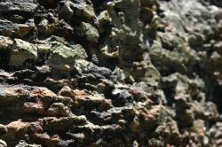 Colorful rough-textured rock. 