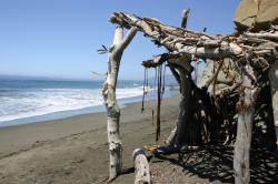 A hut constructed of driftwood and seaweed on the beach. 