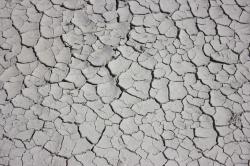 Dried and cracked mud.