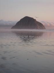Morro Rock bathed in pink light and backed by fluffy white clouds on a dreamy evening. 